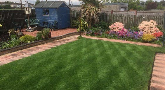 Premium lawn example 1