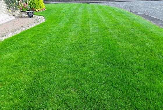 After lawn restoration