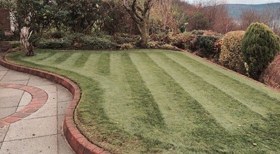 Pro lawn winter garden services