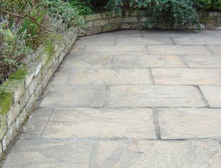 after pro lawn moss and algae control