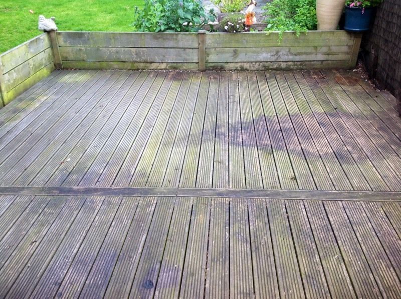 before pro lawn moss and algae control