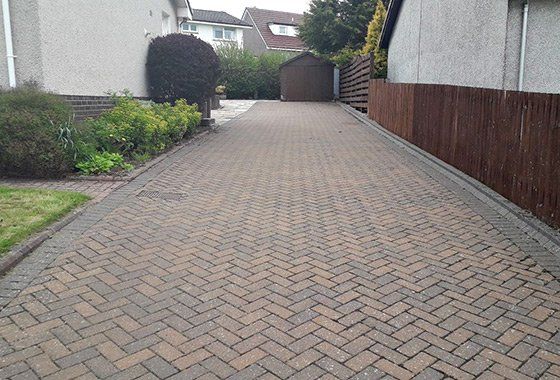 After pro lawn weed control