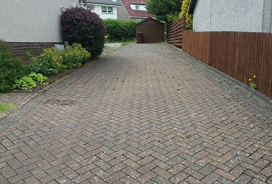 Before pro lawn weed control