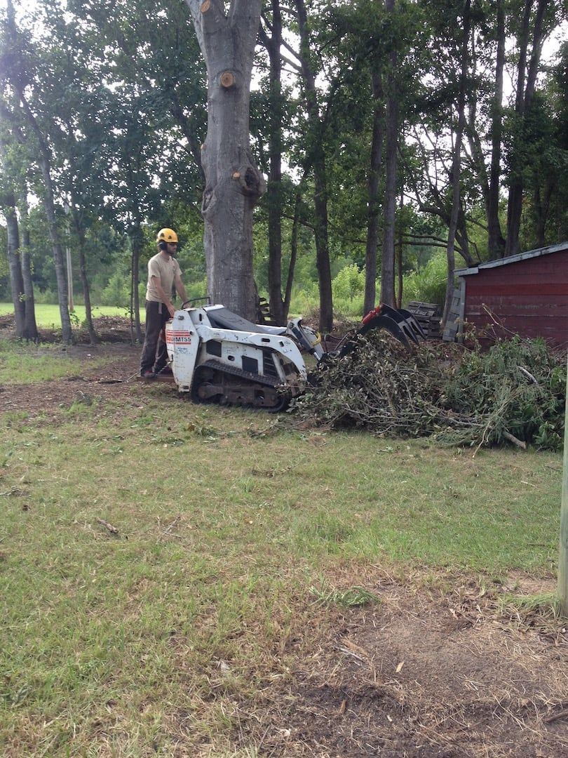A person stands beside a crashed white car against a tree in a wooded area near a red shed.