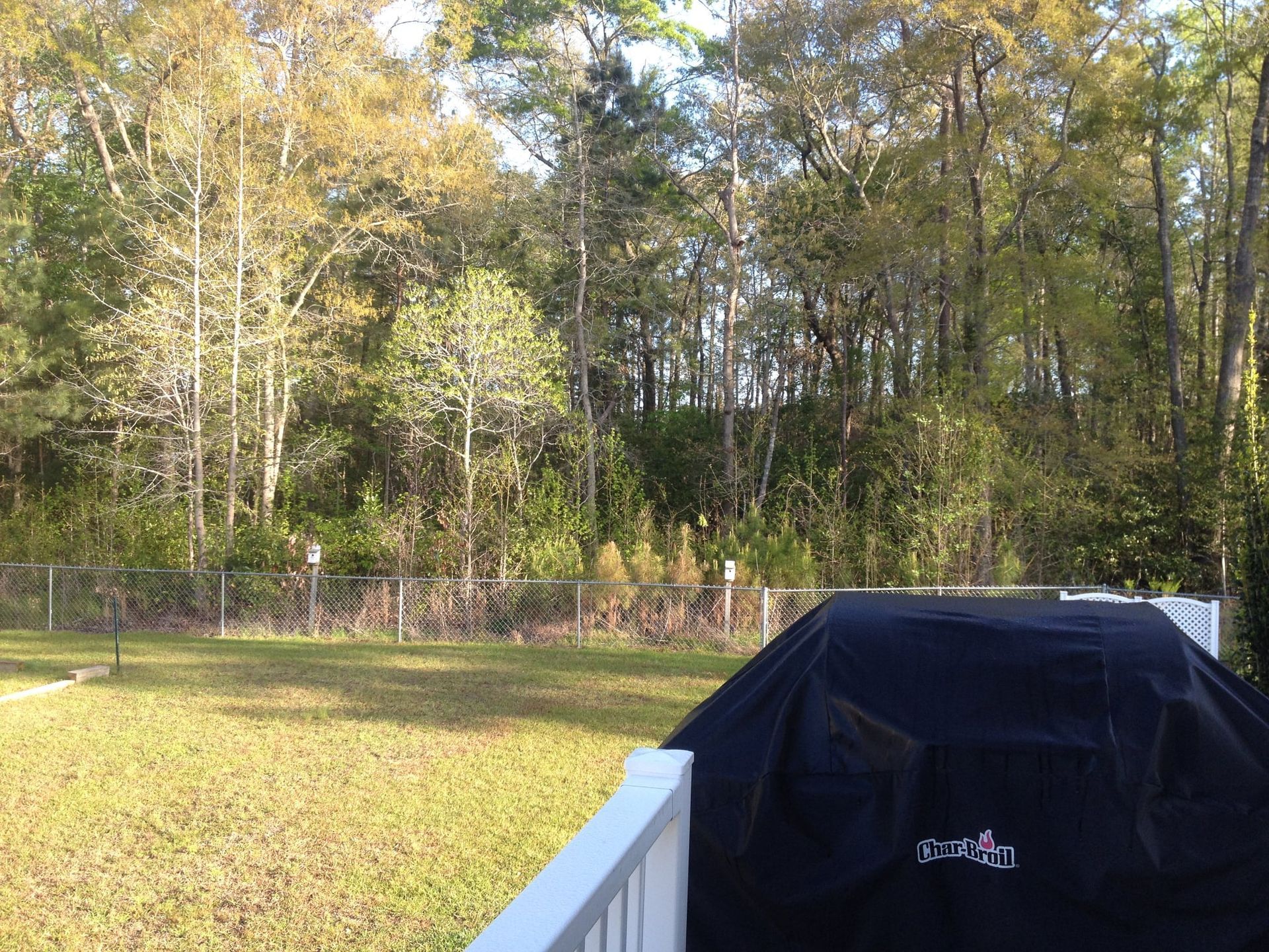 Backyard with trees and a black covered grill behind a white railing