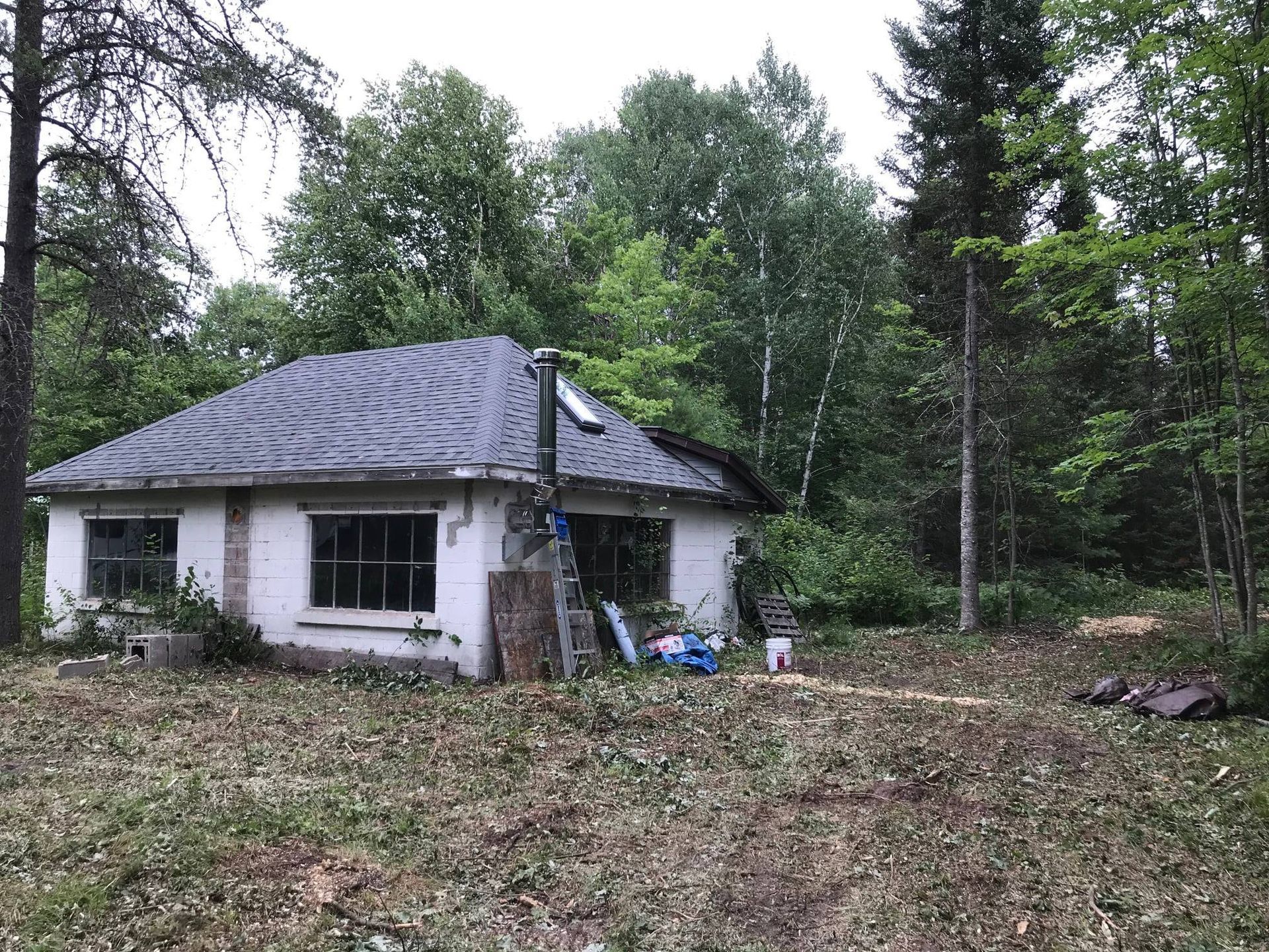 Small white house with a dark roof in a wooded clearing, surrounded by trees and overgrown grass.