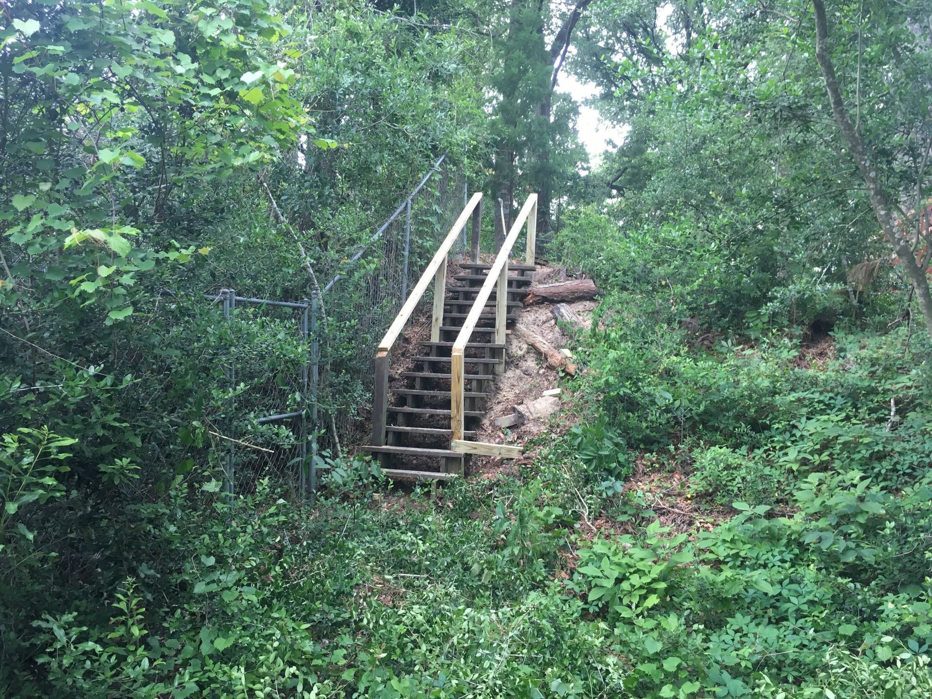 Stone steps with white railings in a dense green forest