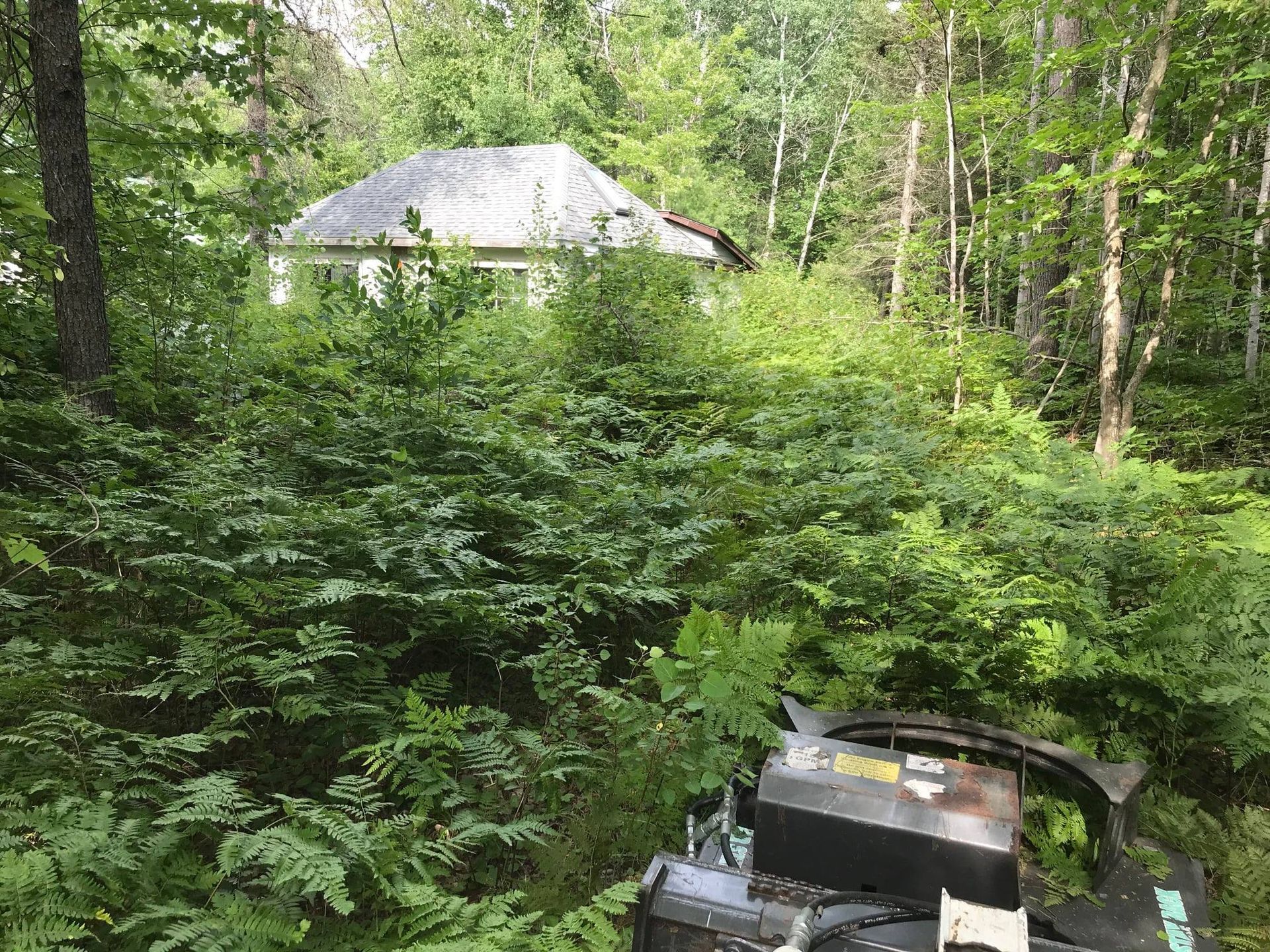 Overgrown yard with a small house and a riding mower in the foreground