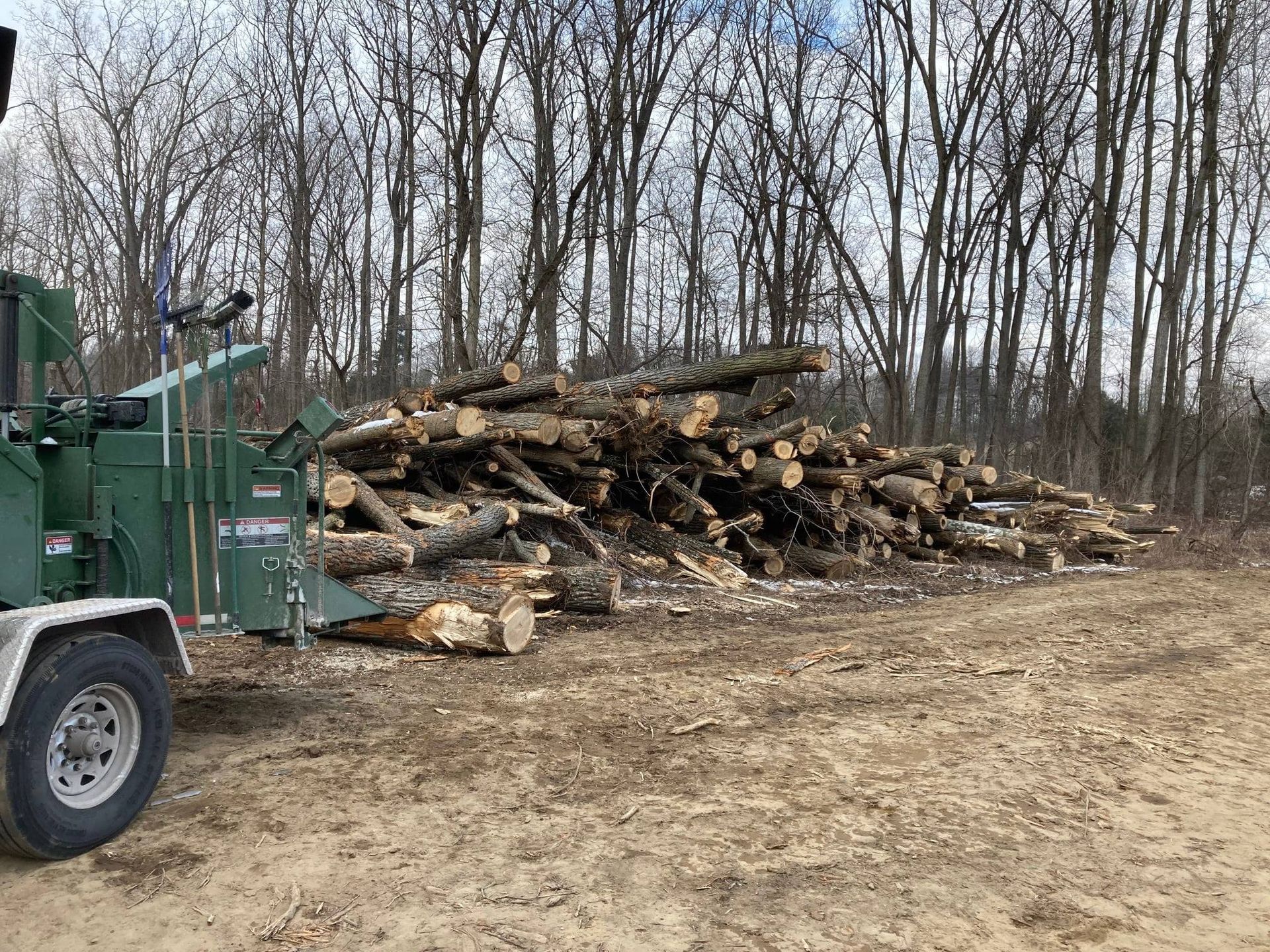 Pile of cut logs beside a green wood chipper in a leafless wooded area.