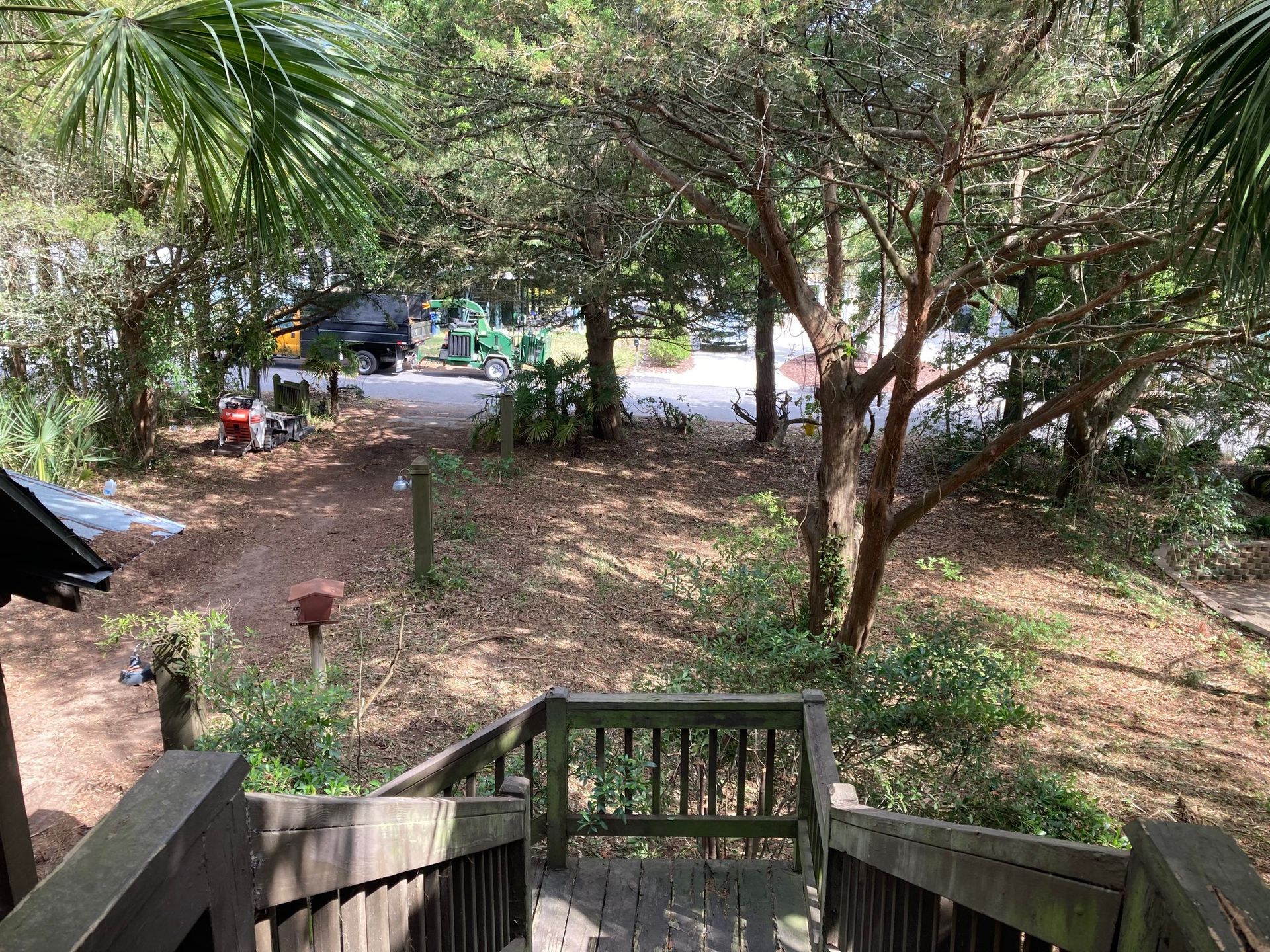 Wooded backyard with stairs, trees, and a path leading to a street and parked car.