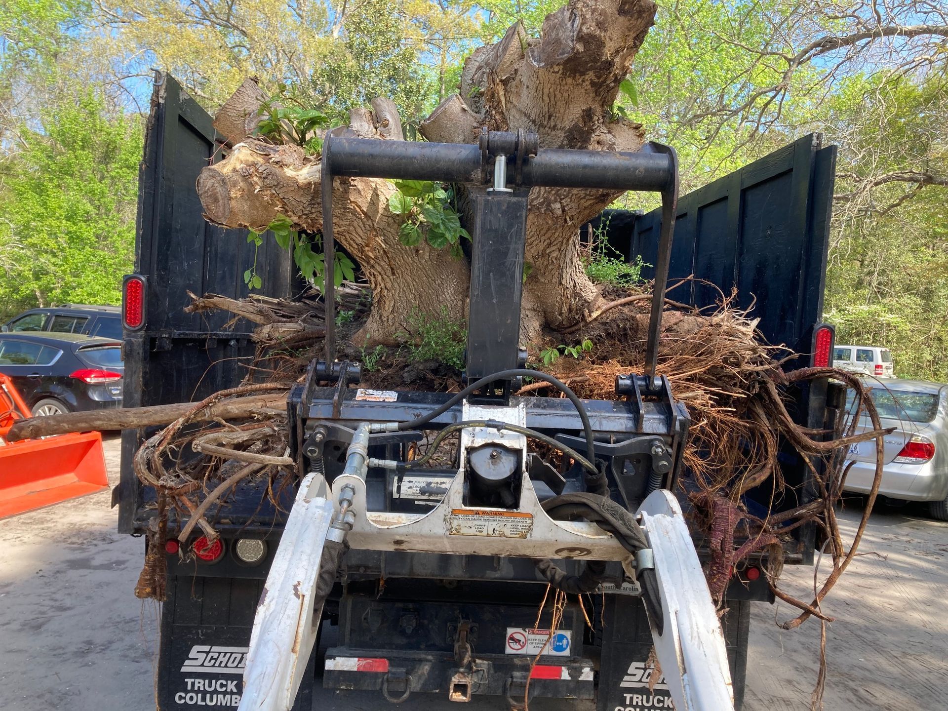 Backhoe loaded with tree roots and soil on a trailer in a parking lot