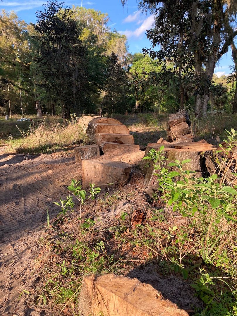 Rustic stone blocks along a dirt path in a wooded outdoor area with sunlight and dry grass
