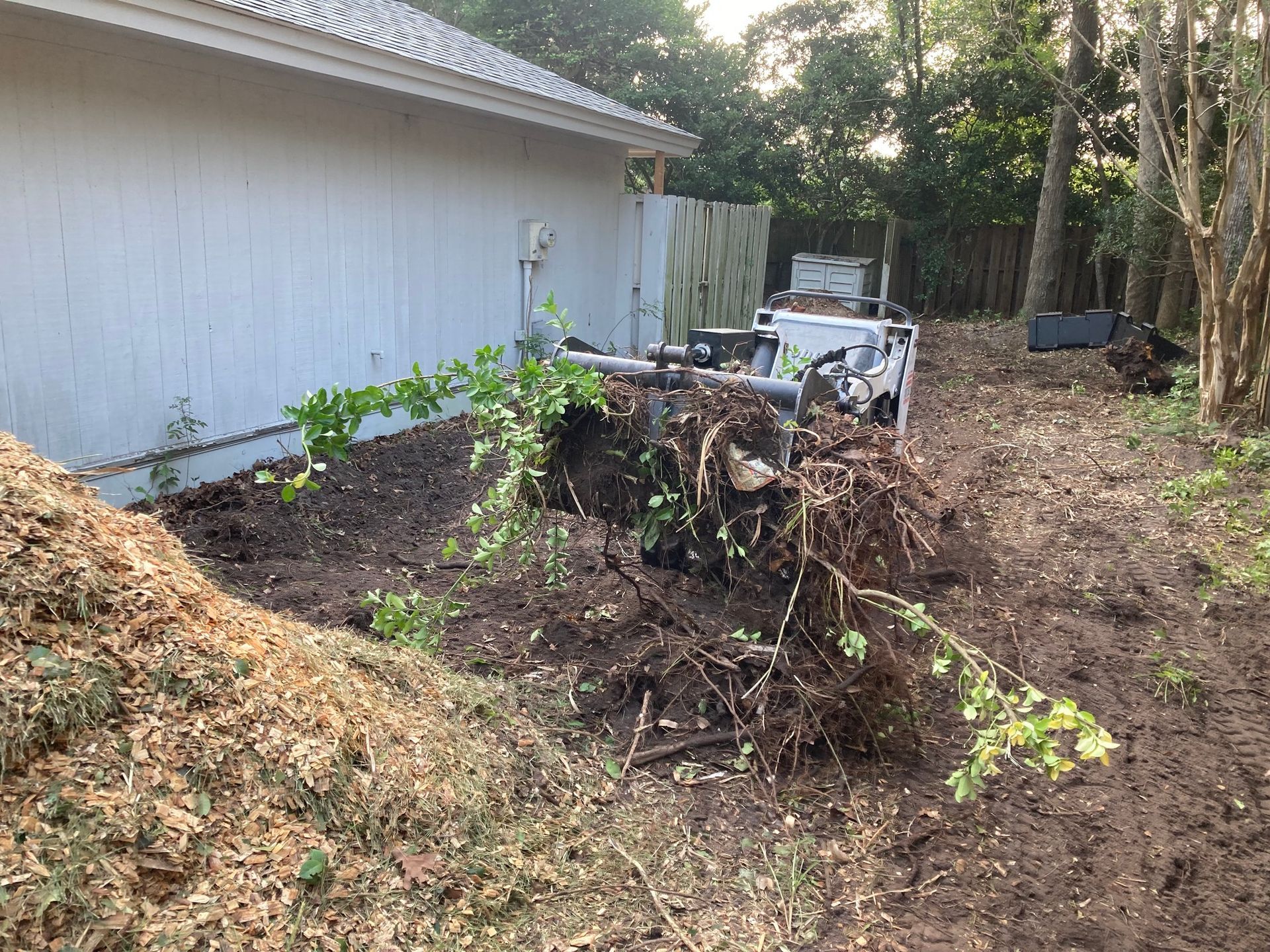Yard with a pile of brush, a white shed, and a muddy path beside a house.