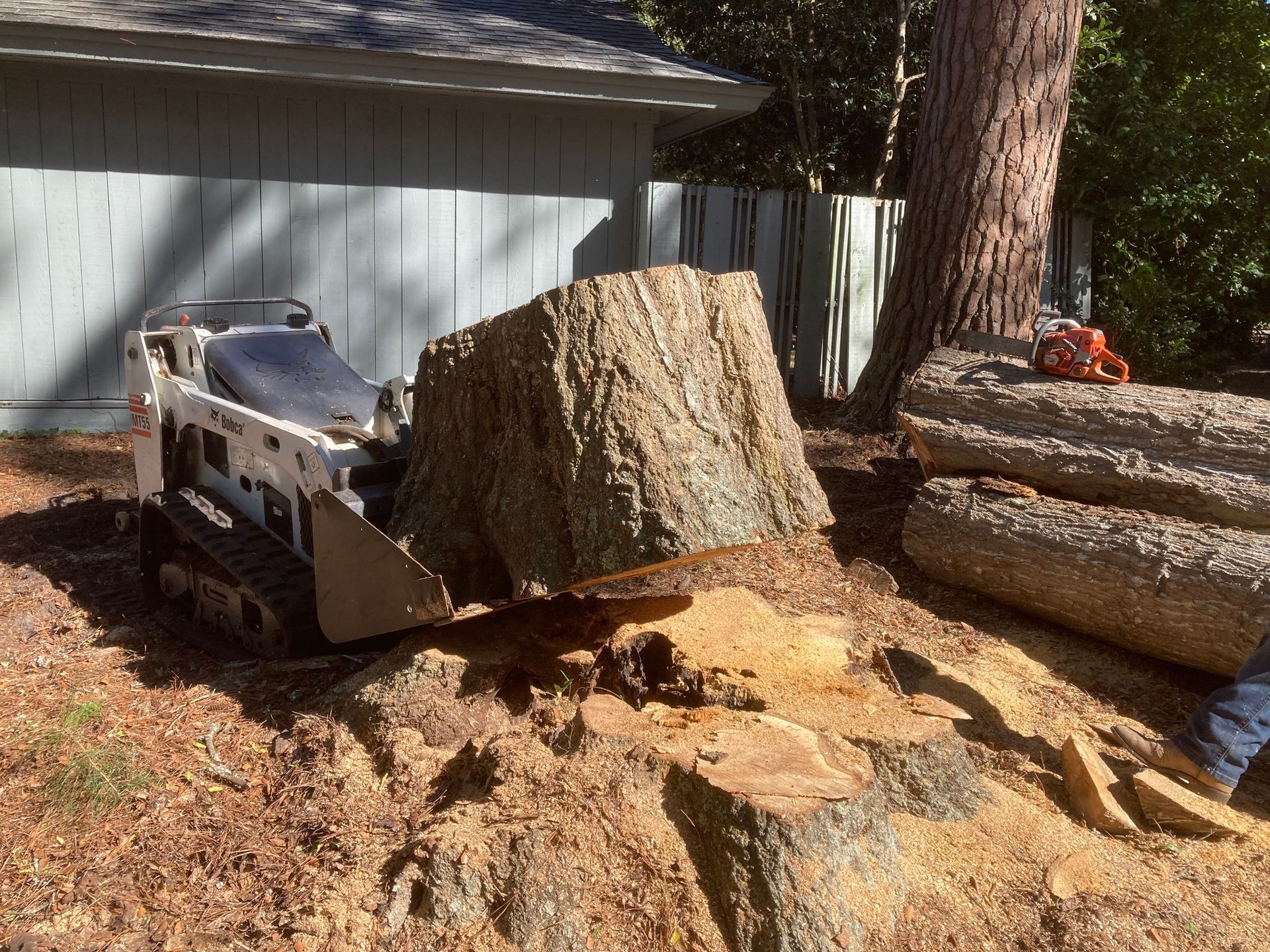 Bobcat pushing a large tree stump in a sunny yard beside a garage