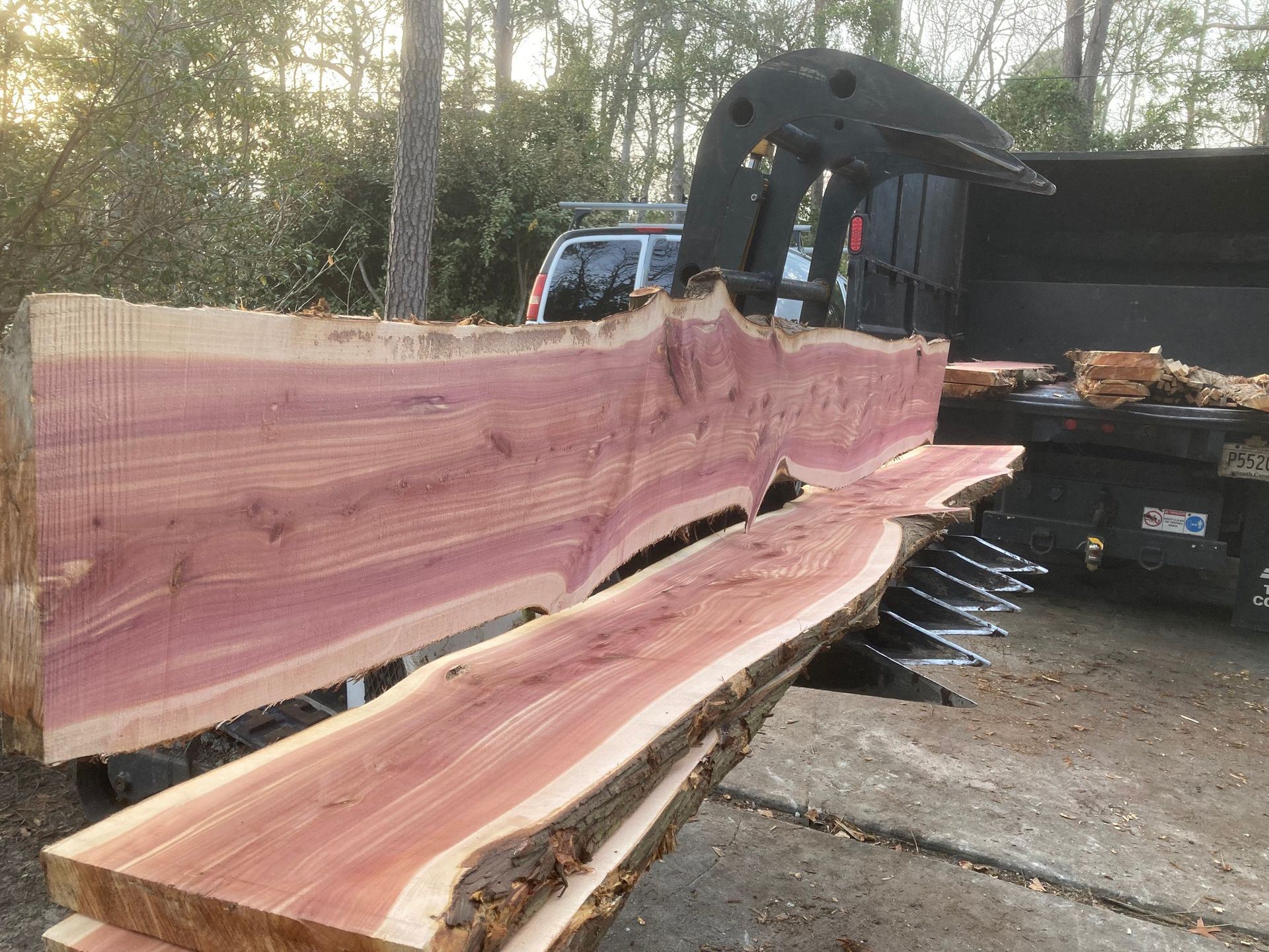 Large pinkish wood slabs being cut by a saw in a wooded outdoor worksite