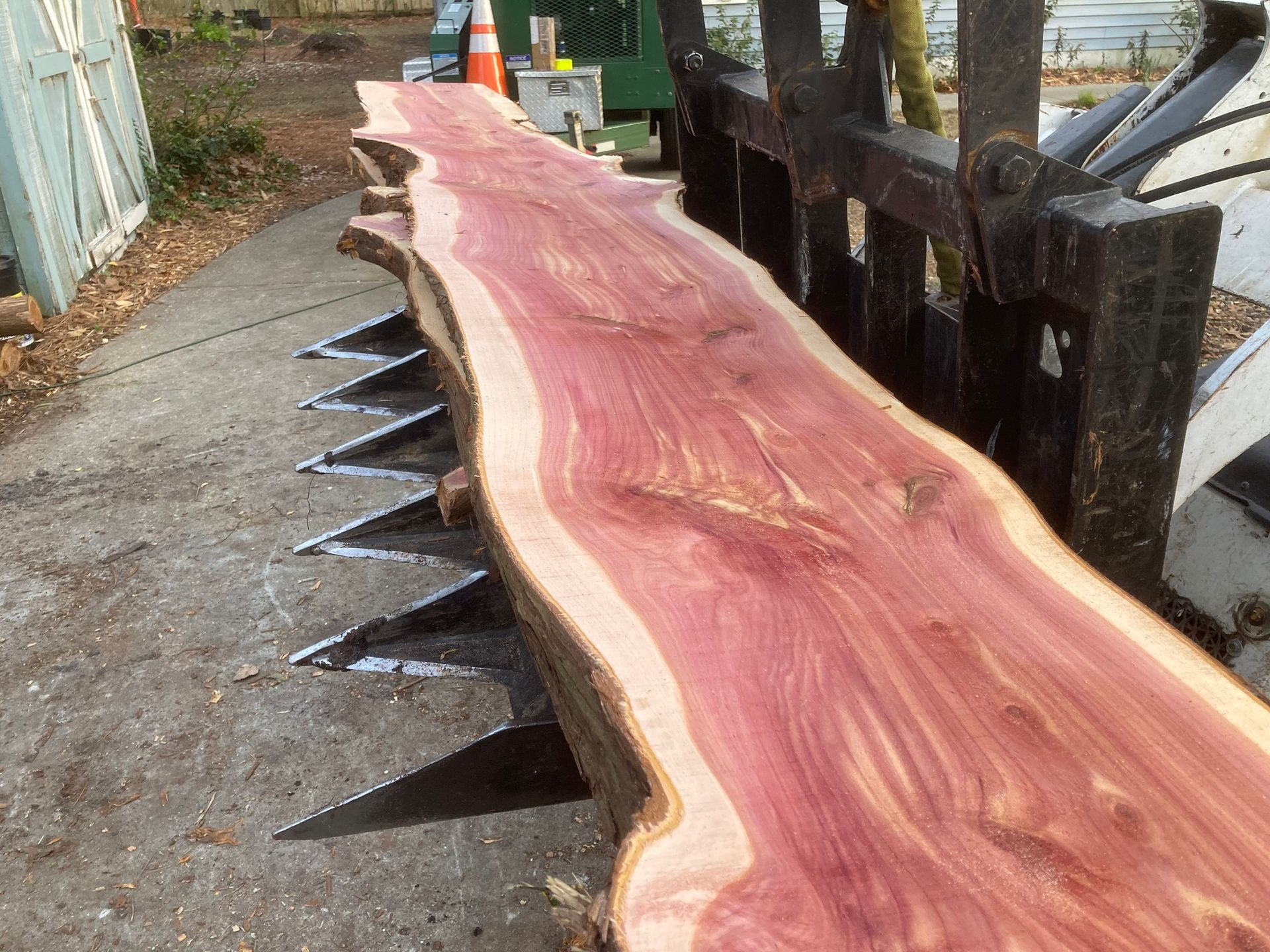 Long wooden slab with live edge and metal spikes mounted outdoors along a walkway