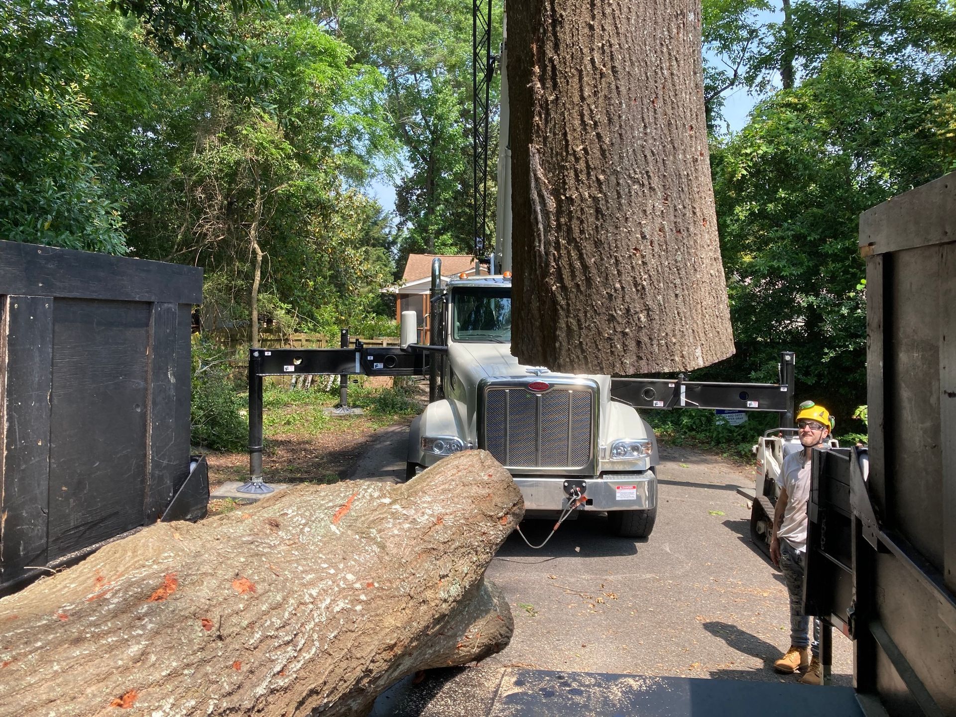 Truck hauling a large tree trunk on a narrow road between black dump containers