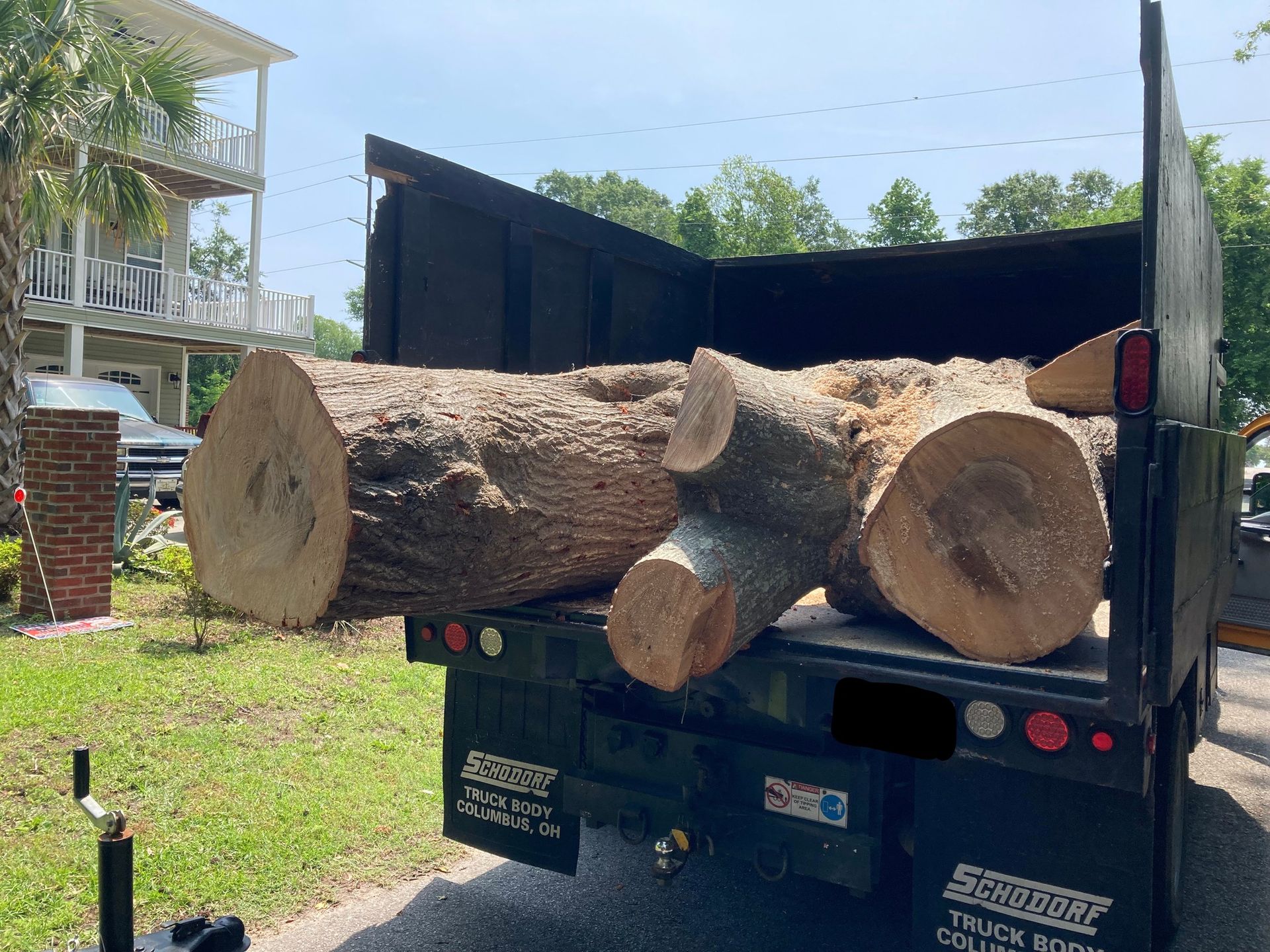 Log truck carrying large cut logs, rear view, parked outdoors on a sunny day