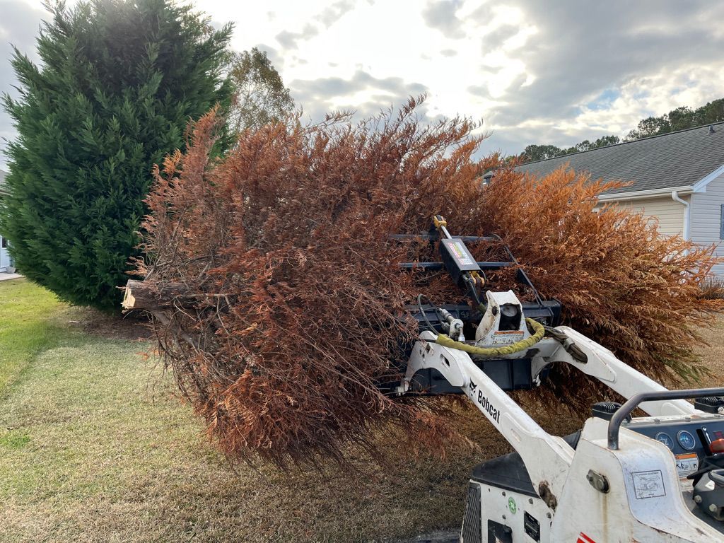 Backhoe lifting a large brown shrub beside a lawn and house.