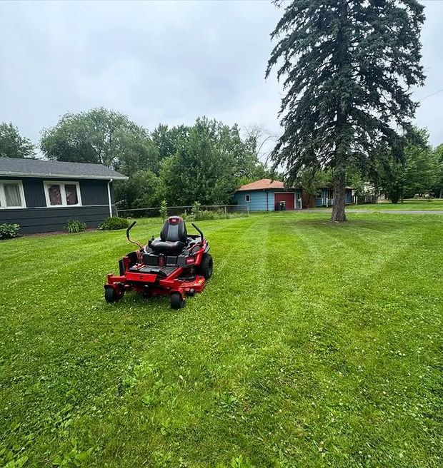 Person mowing a green lawn with a red riding mower near houses and a large tree.