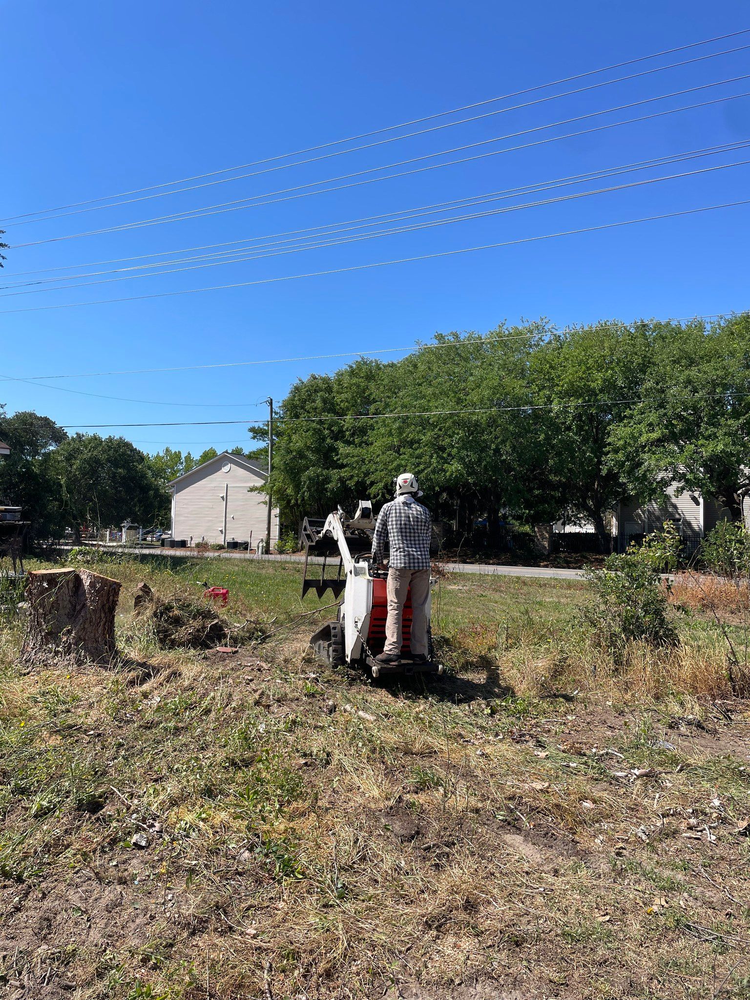 Workers harvesting crops in a sunny field with trees and a house in the background