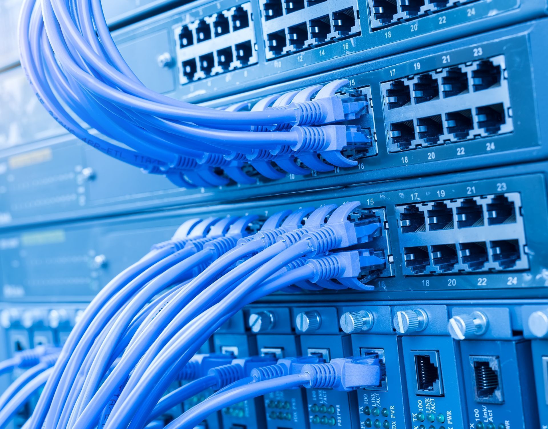 close up of UTP cables plugged in data server
