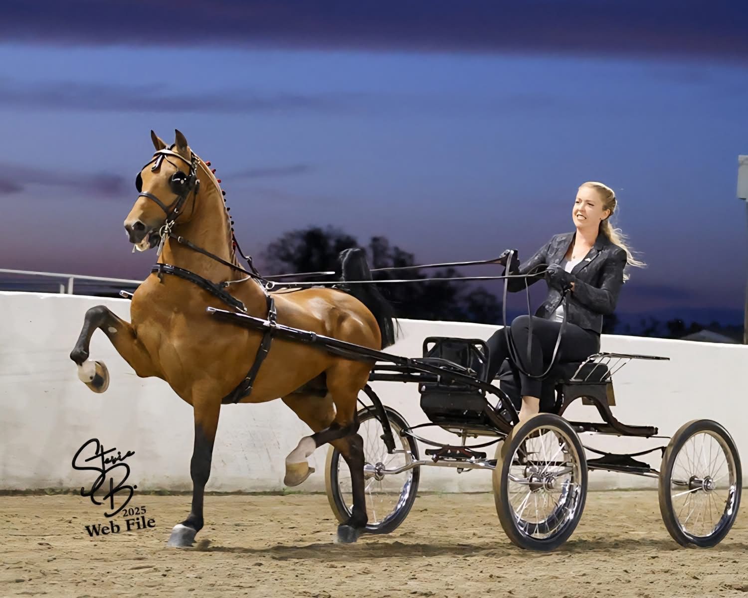 photo of woman making victory pass with Hackney Pony at World's Championship Horse Show