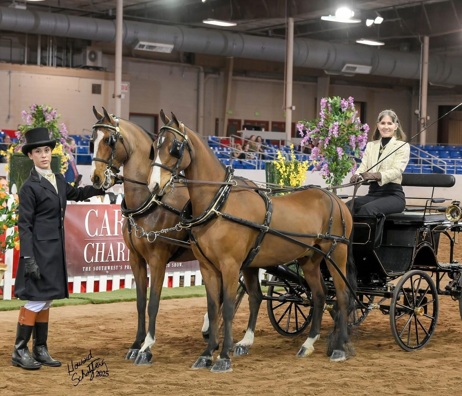 photo of woman showing Hackney Horse under saddle