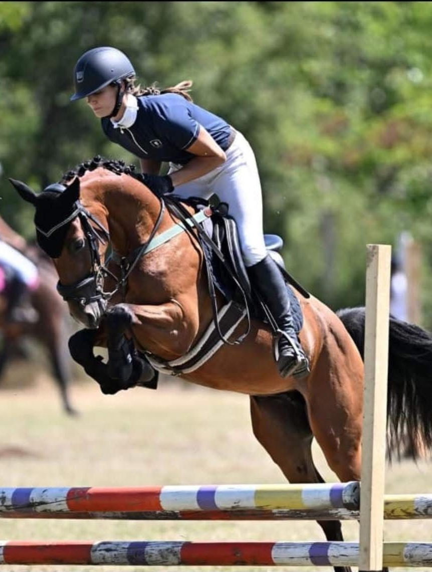 photo of woman showing Hackney Pony at World's Championship Horse Show