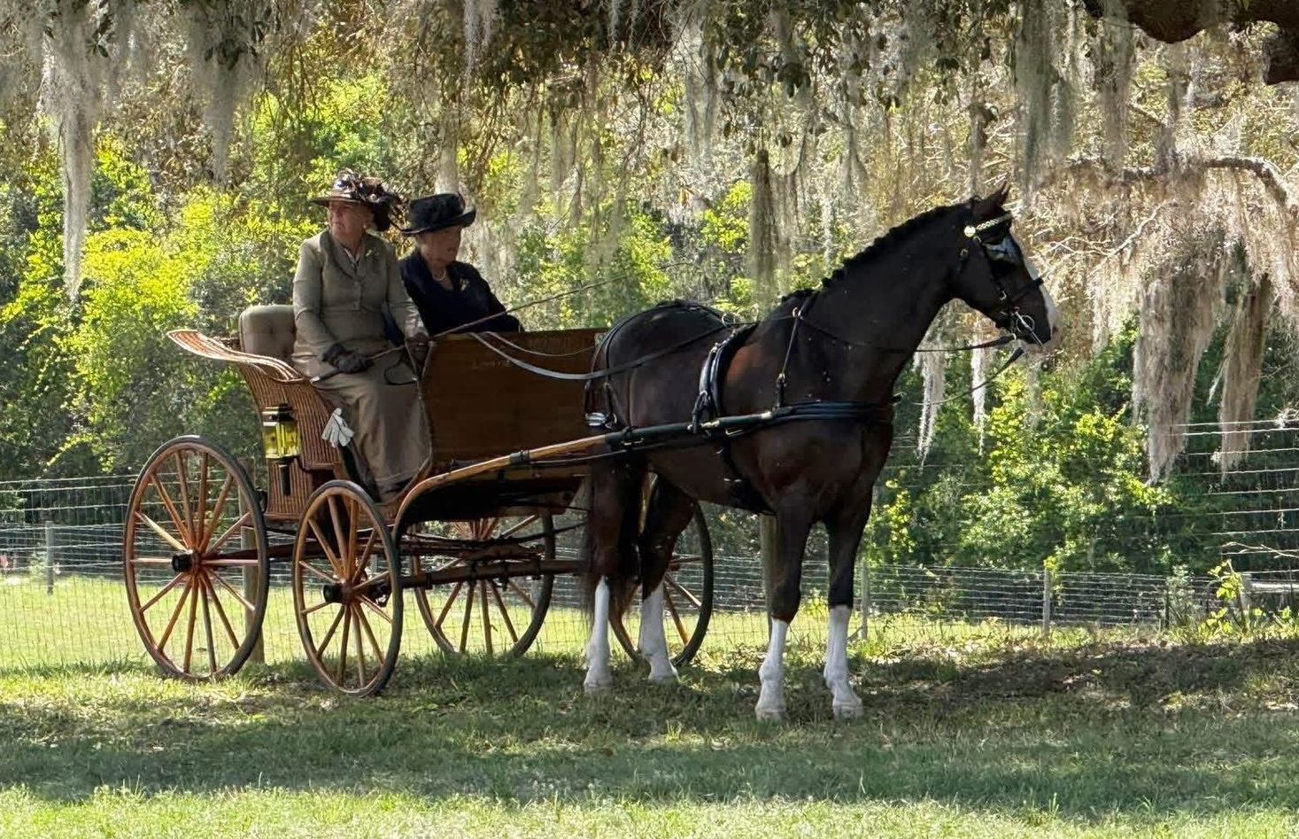 photo of men driving Hackney Horse to wagon on obstacle course
