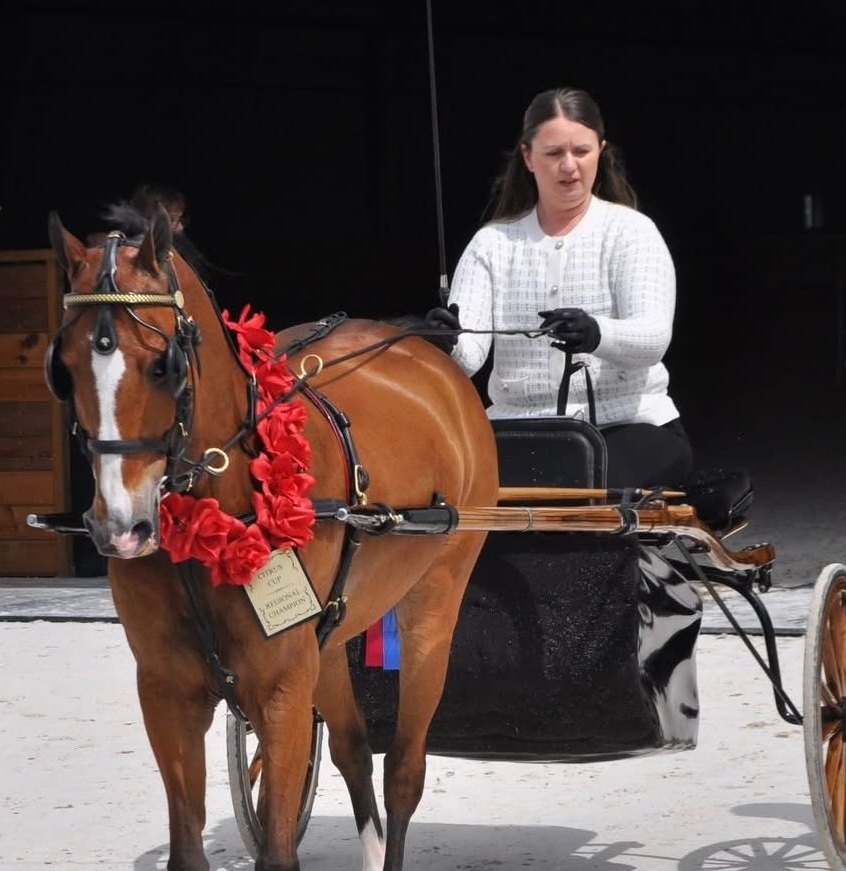 photo of woman showing Hackney Pony at World's Championship Horse Show