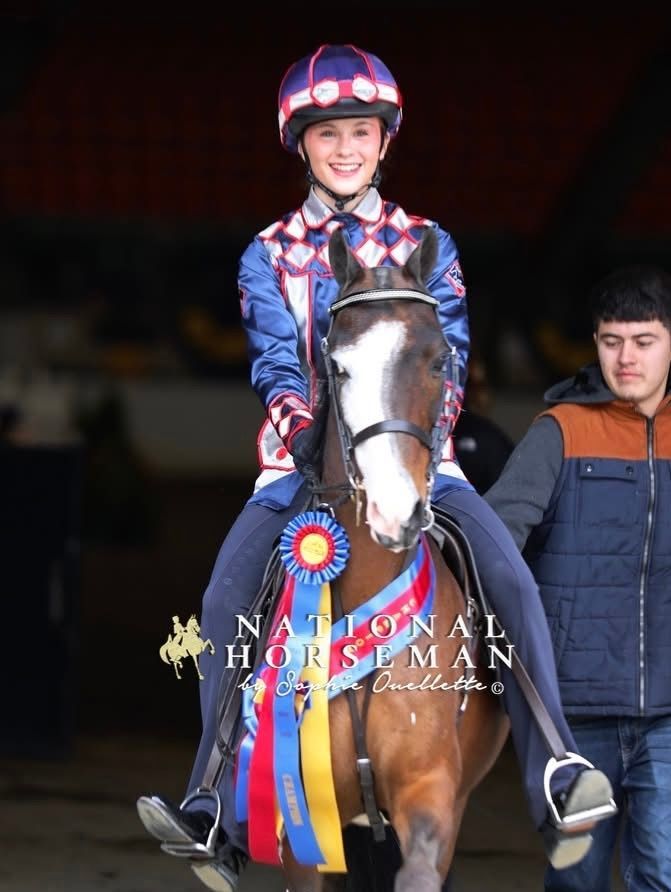 photo of youth in stall holding Hackney Pony