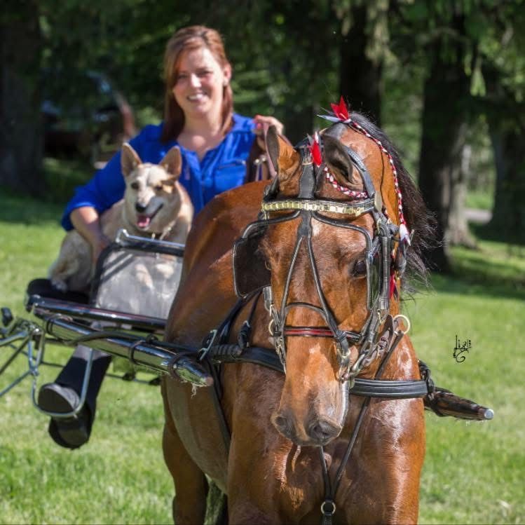 photo of woman driving Hackney Pleasure Pony at show