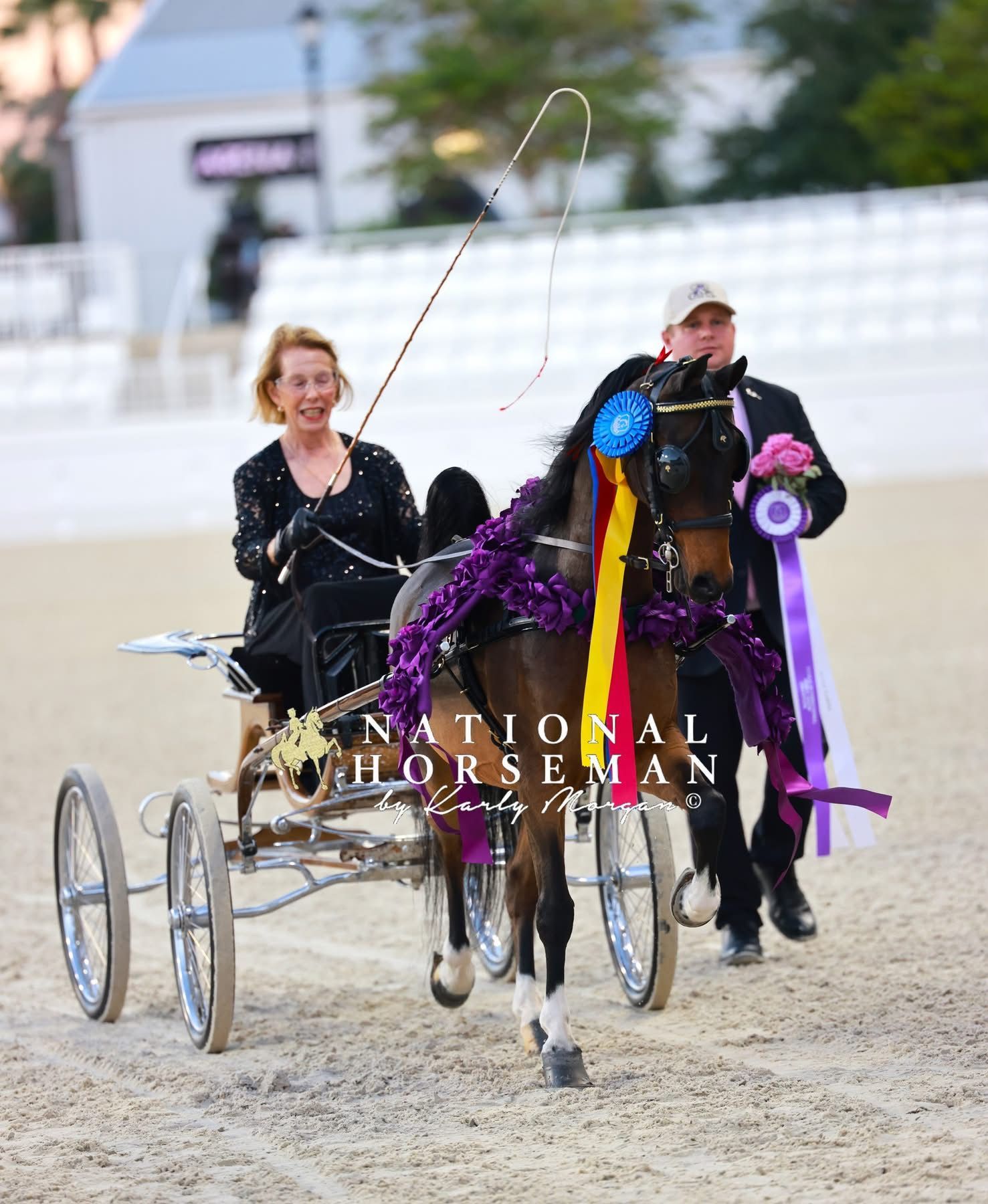 photo of woman driving Hackney Pleasure Pony at Devon Horse Show