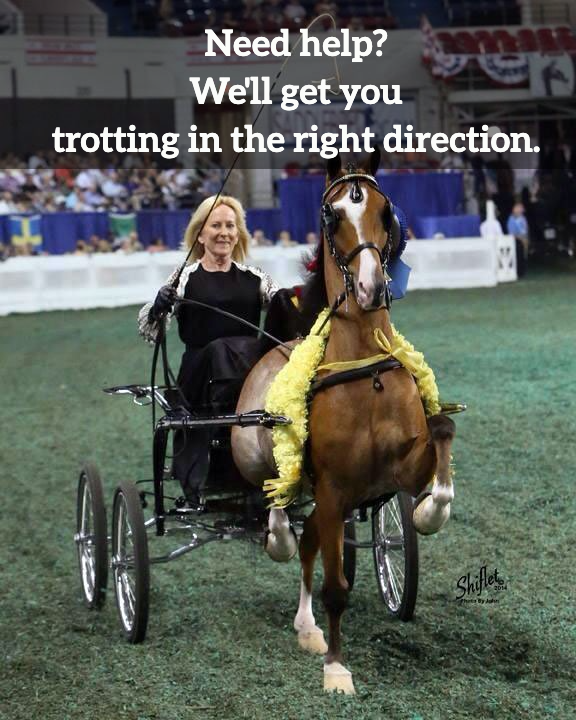 photo of woman driving Hackney Pony at World's Championship Horse Show