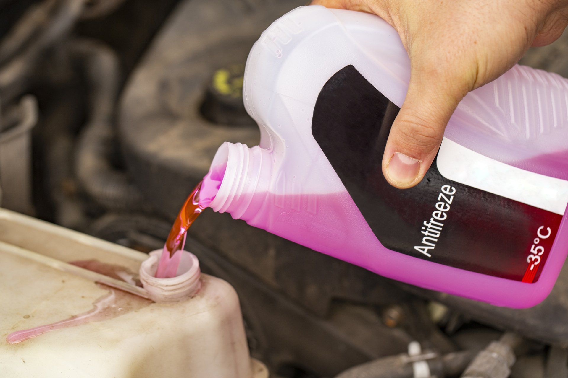 Person pouring pink antifreeze into a car's coolant reservoir.