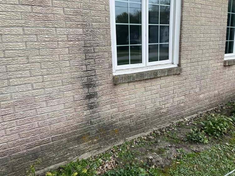 Pressure Washing 5
