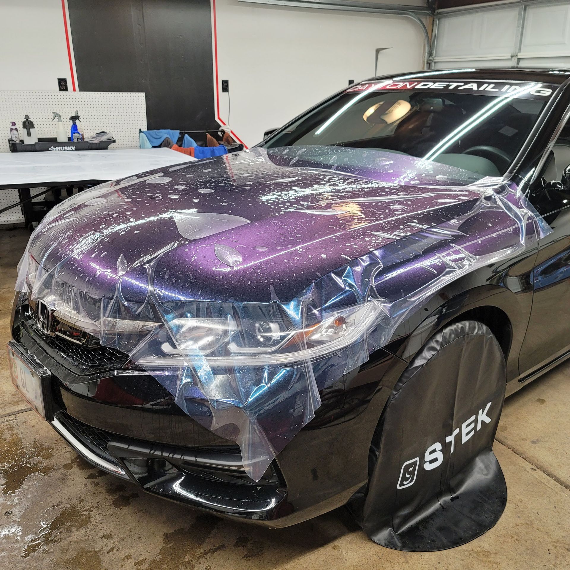 professional paint protection film
