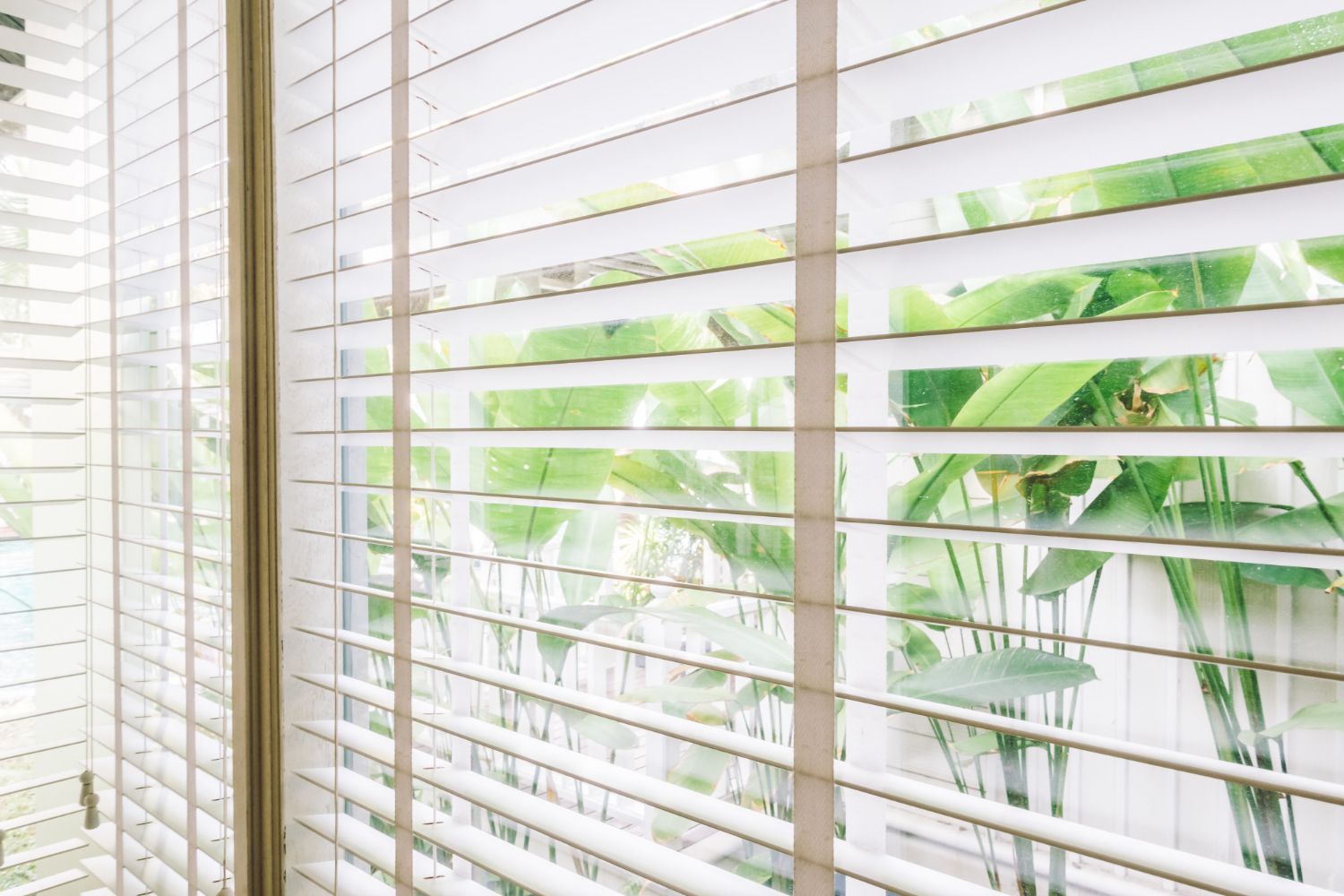 Persianas blancas en la ventana con vistas a exuberantes plantas verdes en el exterior, bañadas por la luz del día.