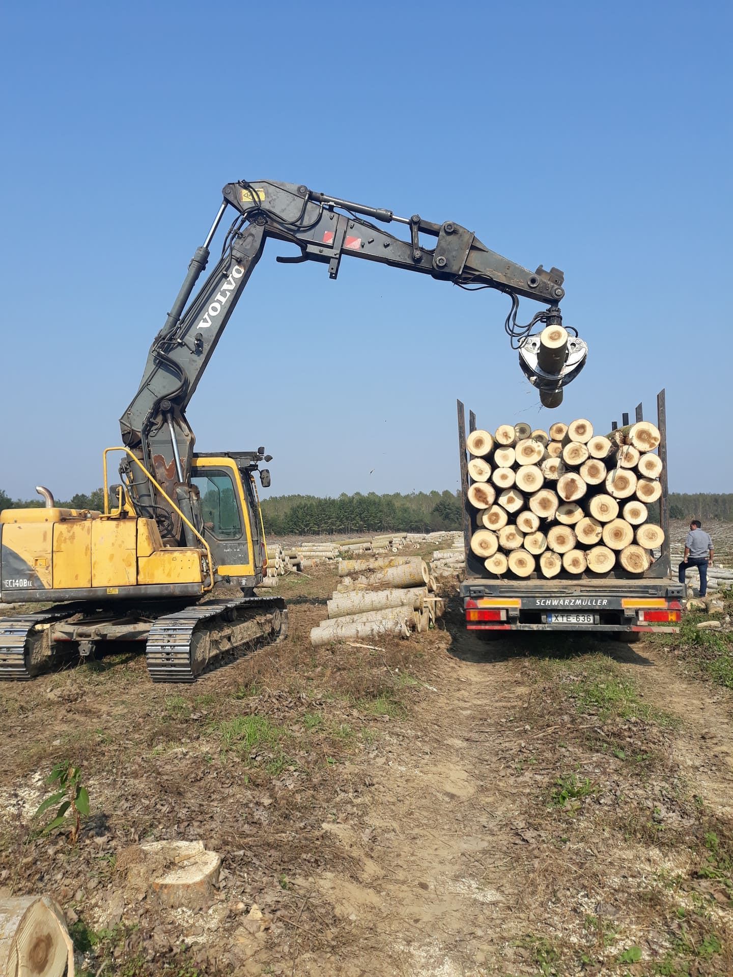 Un escavatore giallo carica tronchi su un camion in una radura nella foresta.