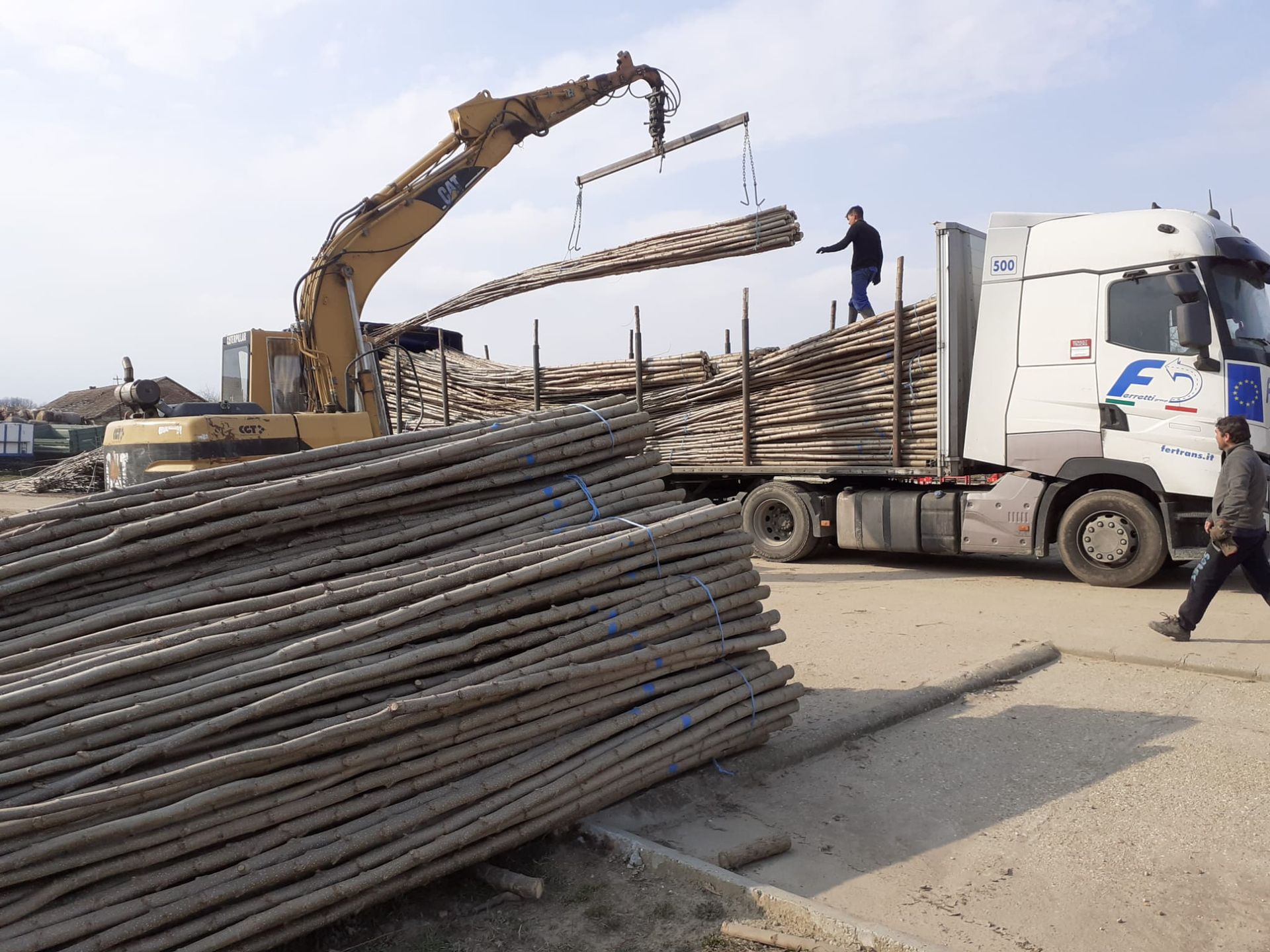 Un escavatore carica pali di legno su un camion, uomini nelle vicinanze. All'aperto, giornata di sole.