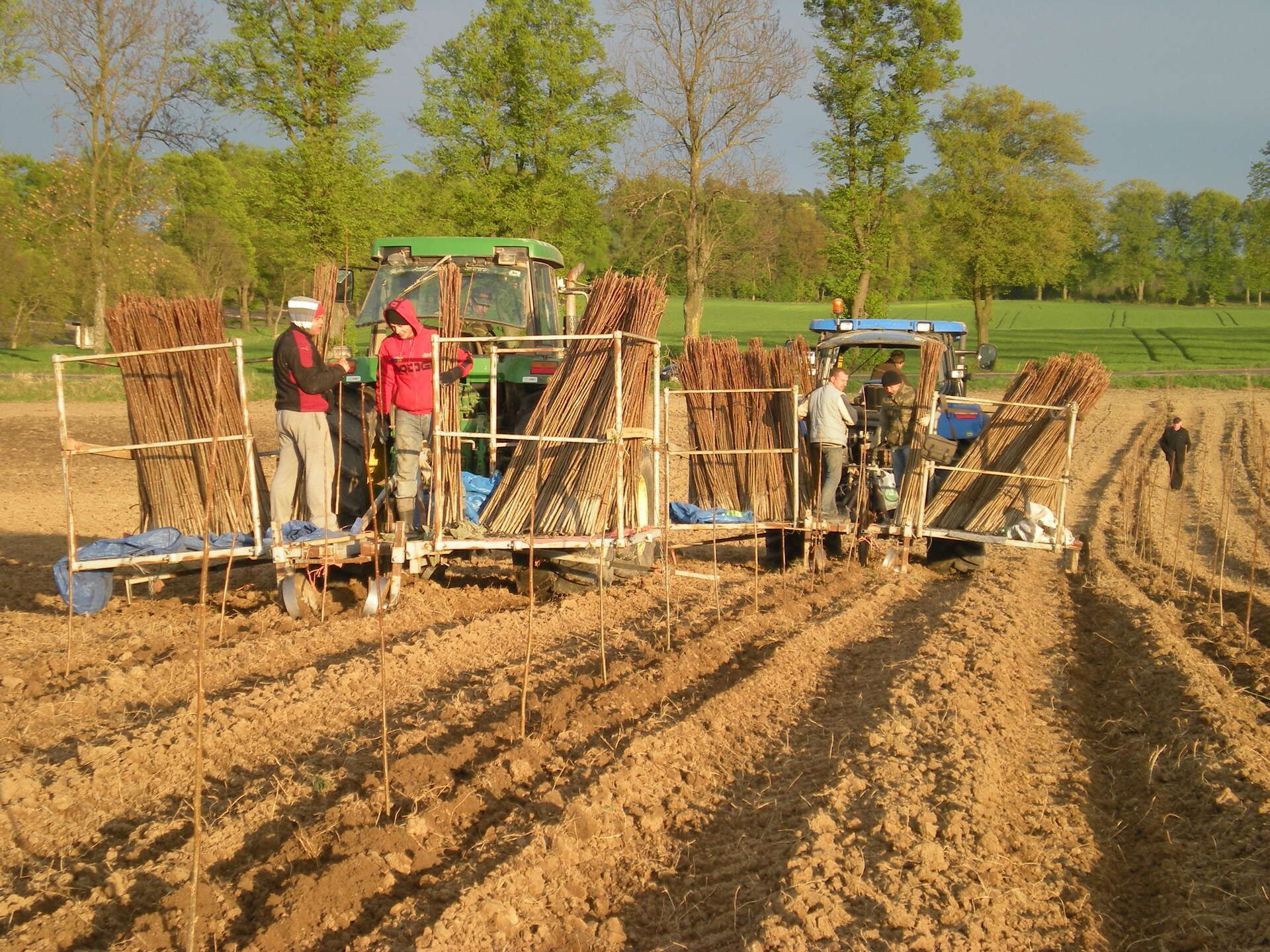 Lavoratori agricoli che piantano i raccolti con una macchina piantatrice trainata da un trattore; terreno marrone, alberi sullo sfondo.