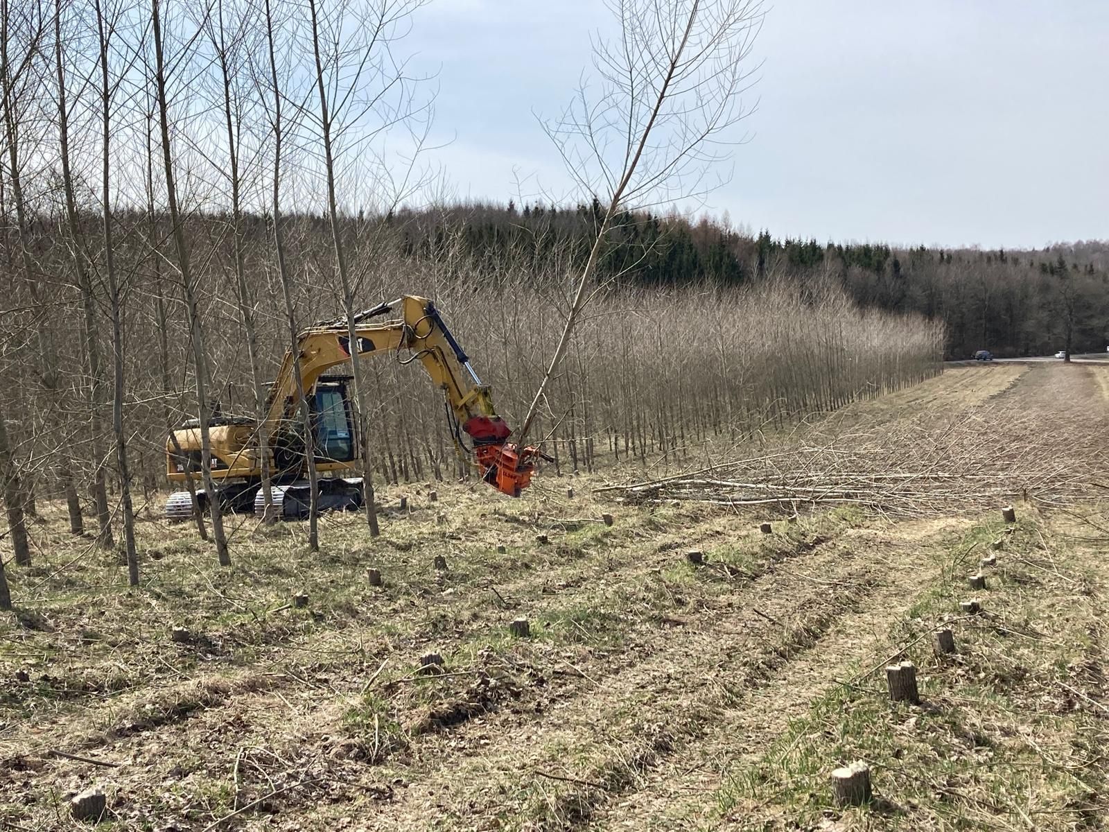 Escavatore che abbatte alberi in un campo con uno sfondo boschivo in una giornata di sole.