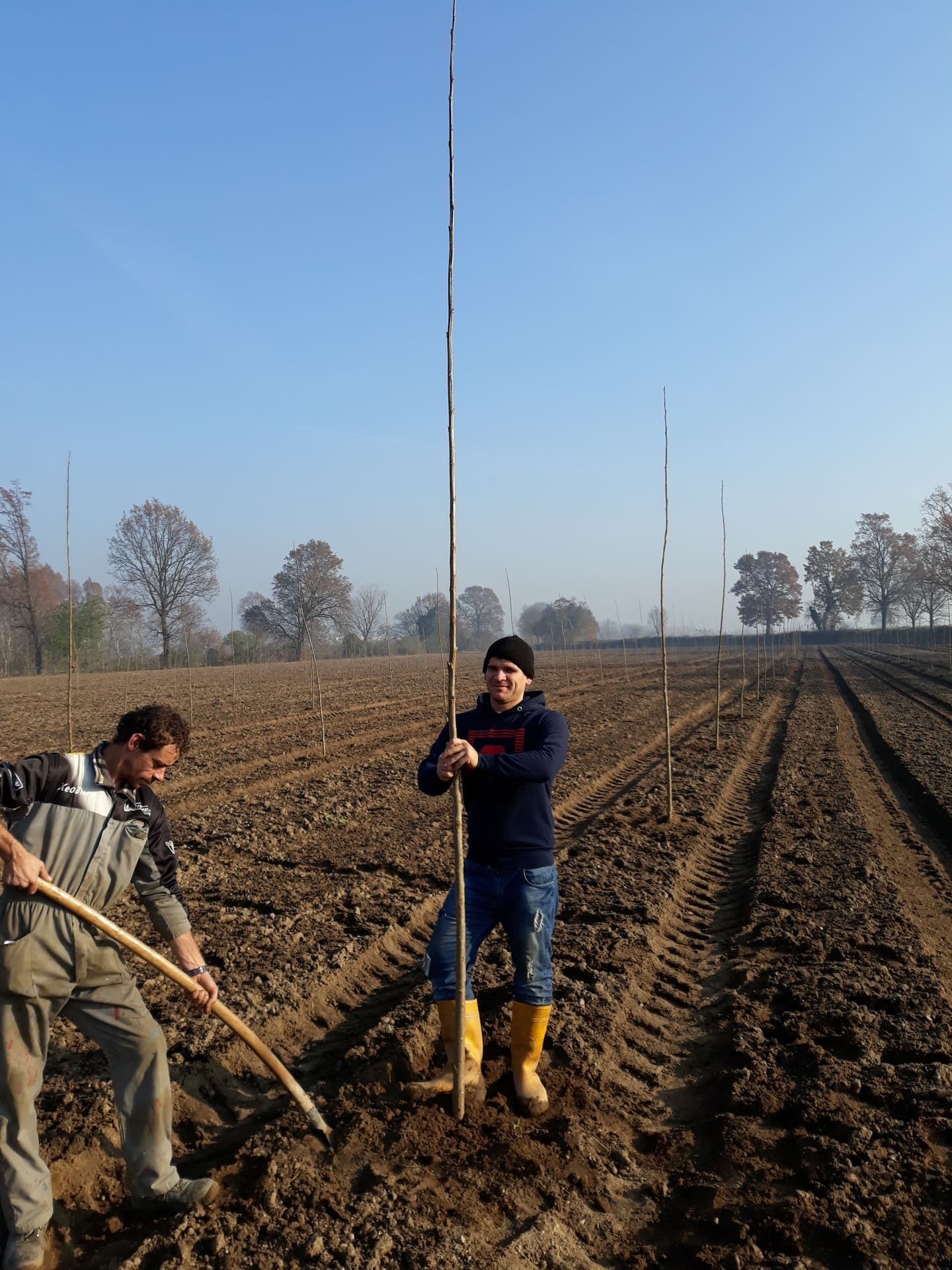 Due persone piantano pali alti in un campo, sotto un cielo nebbioso. Uno tiene un palo, l'altro usa una zappa.