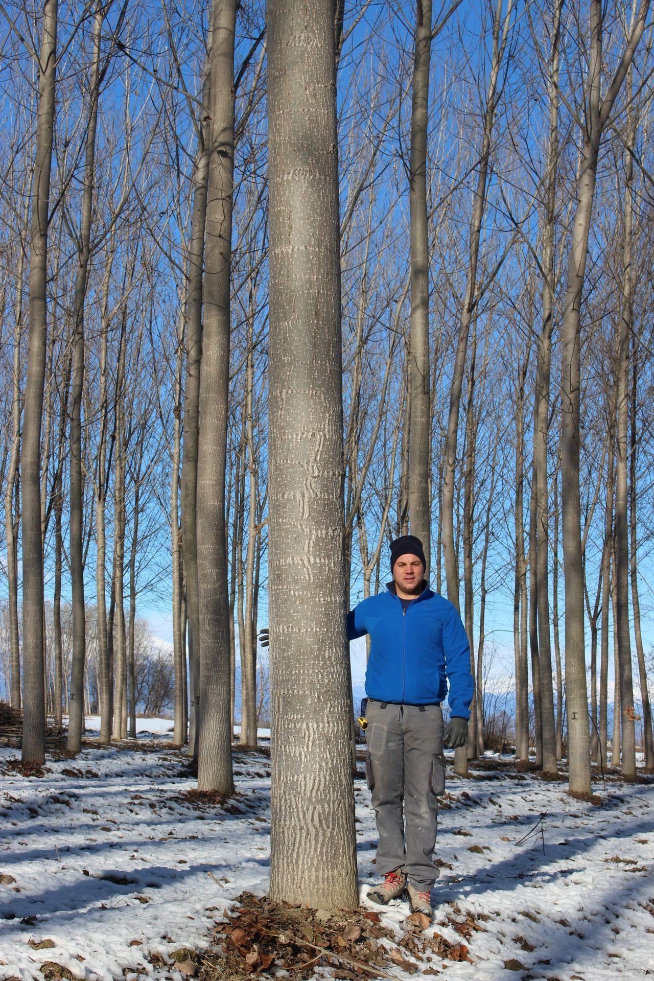 Uomo in piedi accanto a un albero alto in una foresta con la neve sul terreno, gli alberi spogli e il cielo azzurro.