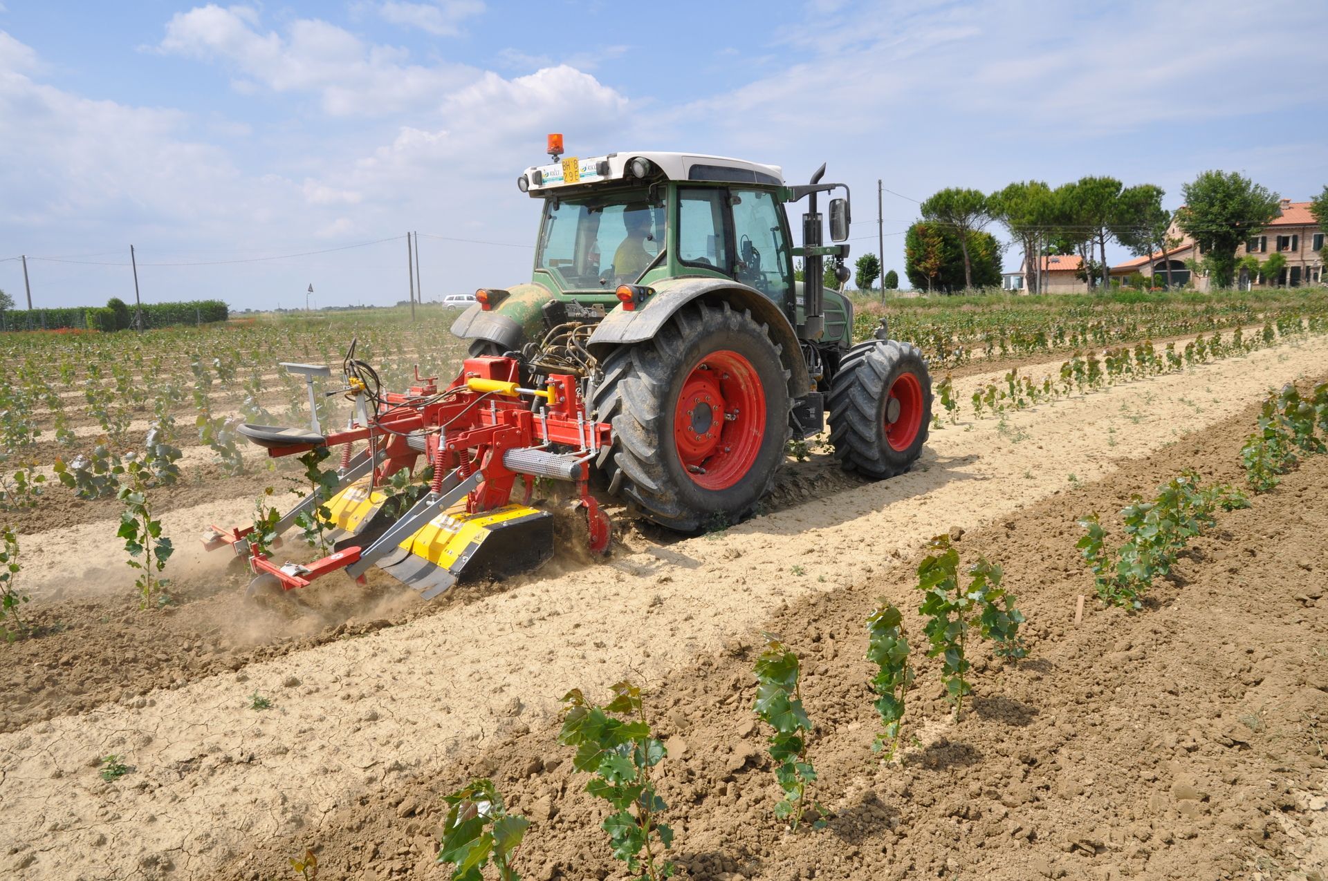 Trattore che coltiva il terreno in un vigneto in una giornata di sole.