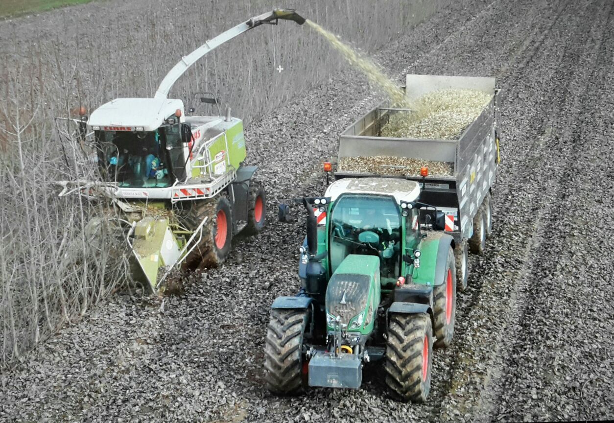 Mietitrice che scarica le barbabietole su un rimorchio di un trattore in un campo.