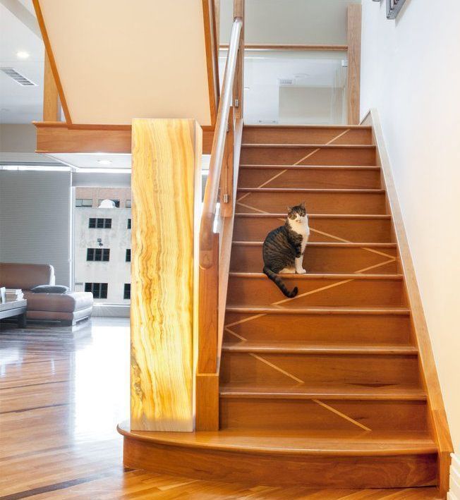 A cat is sitting on a set of wooden stairs
