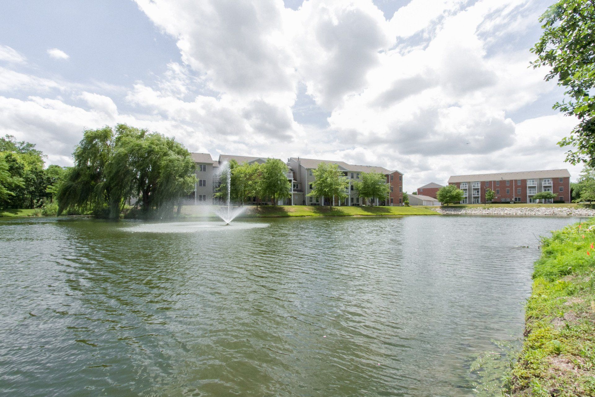 Wessex community photo