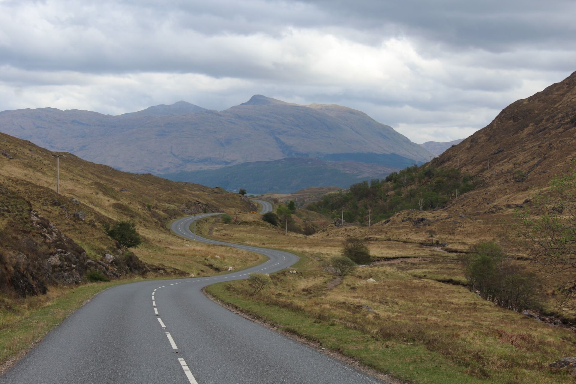 Absolute Lotus Highland Tour